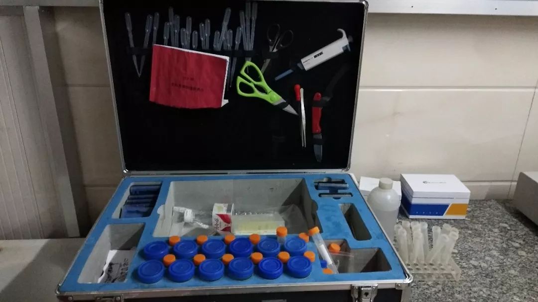 新時(shí)代商廈｜誠信315 信用讓消費(fèi)更放心！