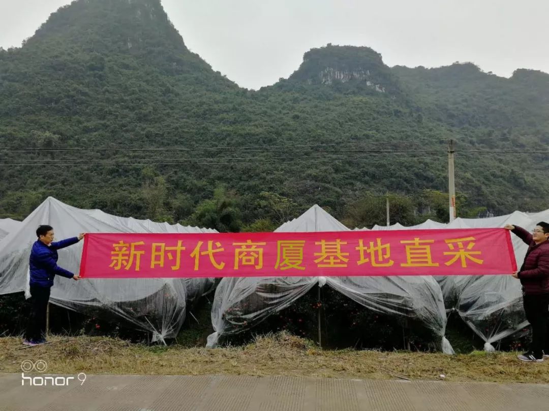 新時(shí)代商廈｜誠信315 信用讓消費(fèi)更放心！